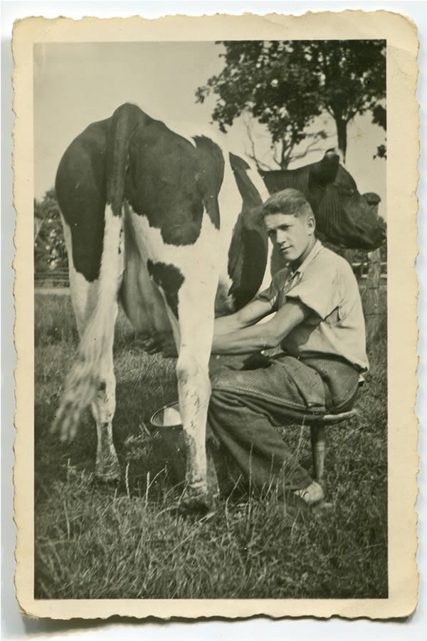 Ganadero años 50 ordeñando una vaca