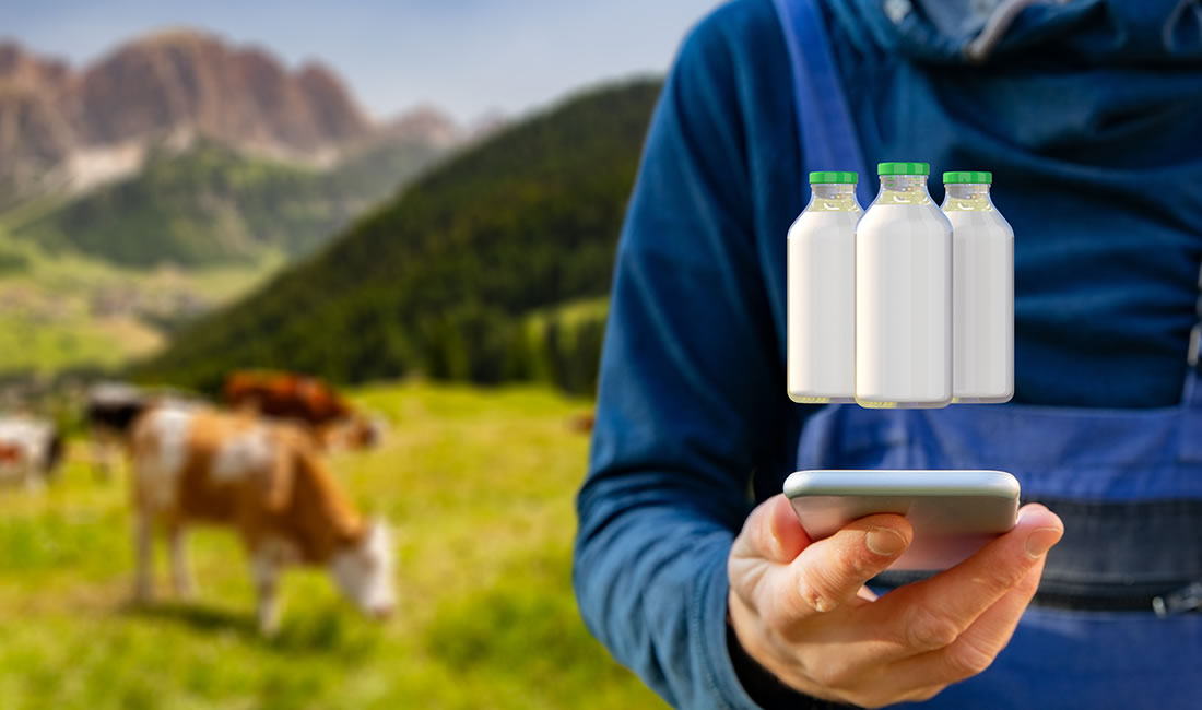 Botellas de leche con un móvil y vacas en el prado