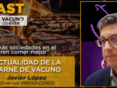 Javier López, director de Provacuno