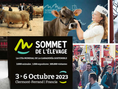 Concursos de razas de vacuno en Cumbre Ganadera Sommet