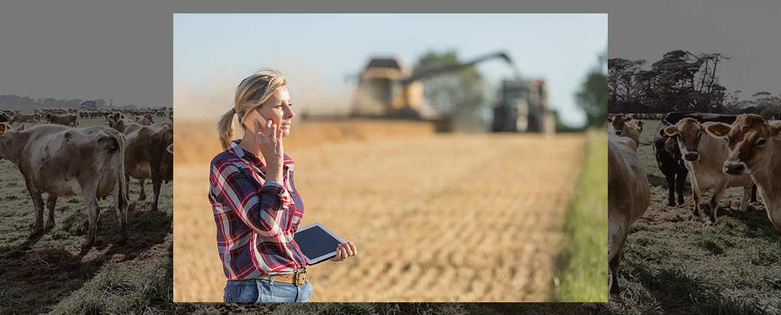 Mujer agricultora en campo cosechando cereal