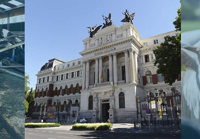 Edificio del Ministerio de Agricultura, Pesca y Alimentación y vacas de leche y de carne