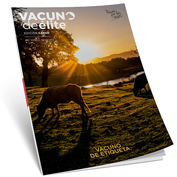 Revista y portada Vacuno de élite CARNE Nº31, vacuno de etiqueta