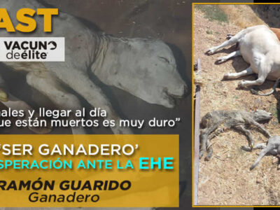 Ramón Guarido, ganadero y presidente de la Asociación 19 de Abril