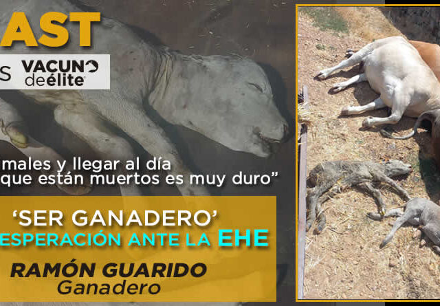 Ramón Guarido, ganadero y presidente de la Asociación 19 de Abril