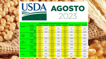 Cereales con datos del informe USDA para Agosto 2023