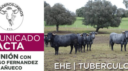 Logotipo Asociación Ganaderos Unidos de Castilla y León con vacas de campo raza Morucha
