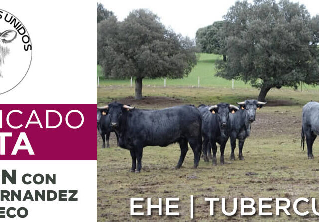 Logotipo Asociación Ganaderos Unidos de Castilla y León con vacas de campo raza Morucha