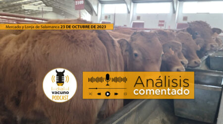 lonja y mercado de ganado vacuno Salamanca