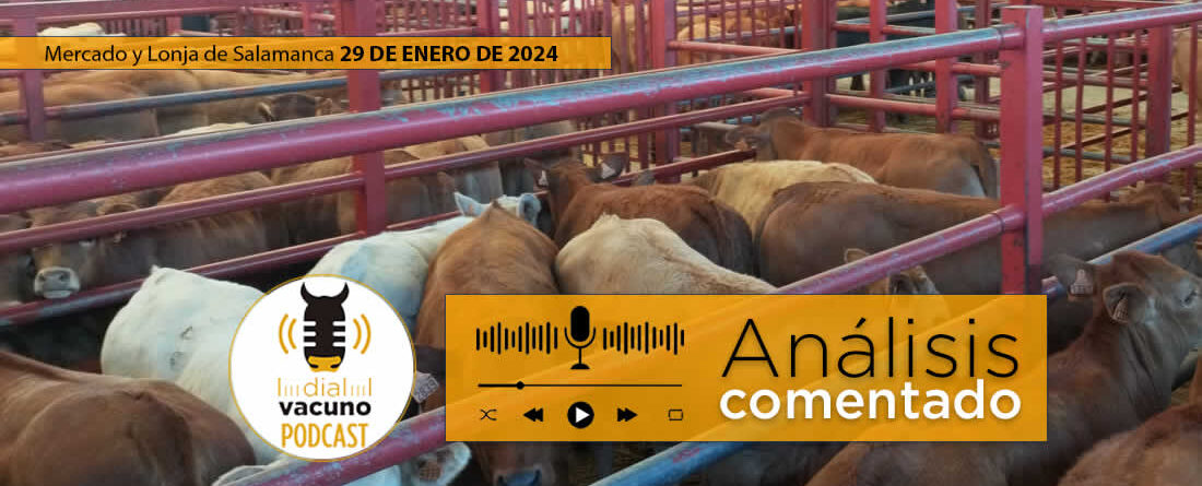 Lonja y mercado de ganado vacuno de Salamanca