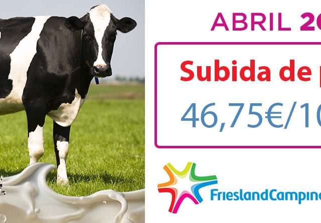 Friesland Campiña Abril 2024 precio garantizado en granja