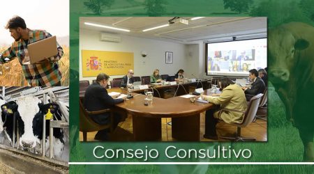 Consejo Consultivo política Agraria