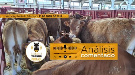 Mercado y lonja de ganado vacuno Salamanca