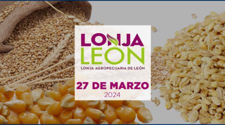 Lonja de cereales de León