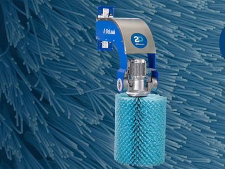 Cepillo Delaval 20 Aniversario