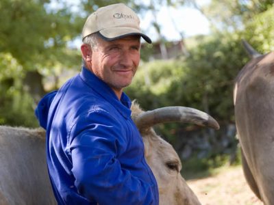 UPA informe que la actividad de la AICA