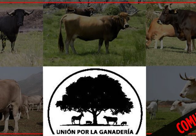 Unión por la Ganadería descontento Foro Nacional de la Ganadería Extensiva