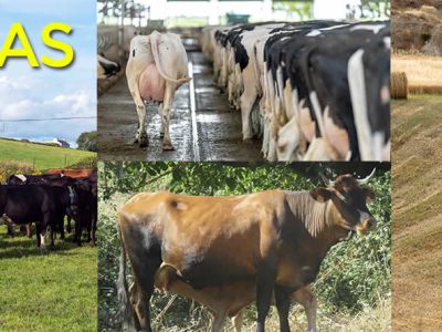 ayudas por 1,7 millones de euros para las explotaciones agrarias