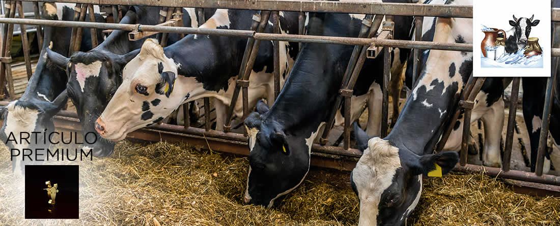 Porcentaje de grasa en la leche de vaca