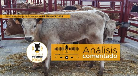 Lonja y mercado ganado vacuno Salamanca