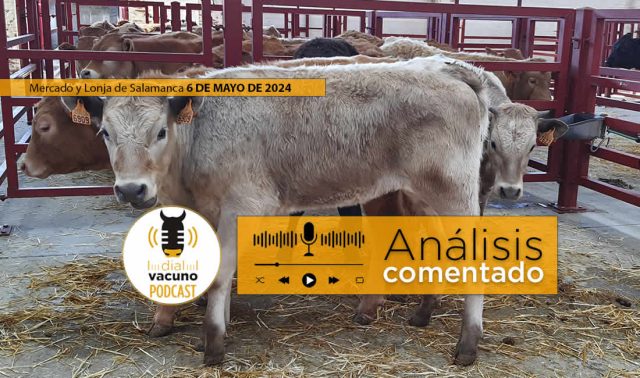 Lonja y mercado ganado vacuno Salamanca