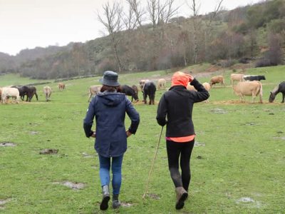 salvar a la ganadería extensiva