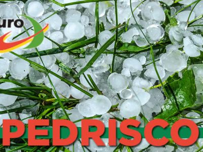 destacada agroseguro 13 de junio optimizada