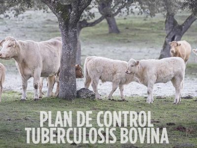acuerdo alcanzado entre el ministerio y las comunidades autónomas para modificar el plan de control de la tuberculosis bovina
