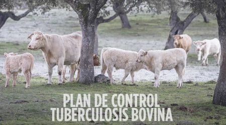 acuerdo alcanzado entre el ministerio y las comunidades autónomas para modificar el plan de control de la tuberculosis bovina