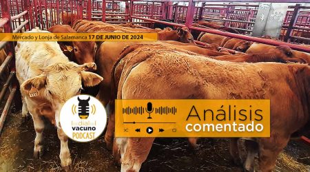 Lonja y mercado terneros y ganado vacuno Salamanca 17 junio 2024