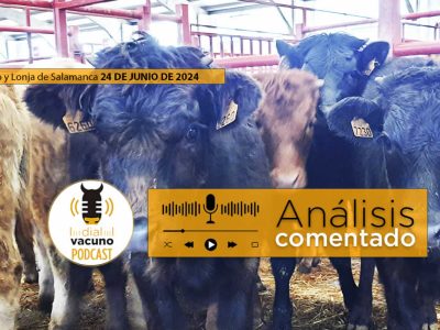 Lonja y Mercado Ganado vacuno Salamanca 24 junio 2024