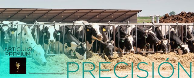 Alimentación de precisión en vacas de leche de alta producción