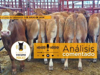 Lonja y mercado de ganado vacuno Salamanca 1 julio 2024