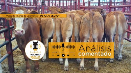 Lonja y mercado de ganado vacuno Salamanca 1 julio 2024