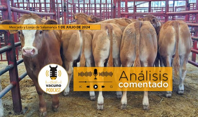 Lonja y mercado de ganado vacuno Salamanca 1 julio 2024