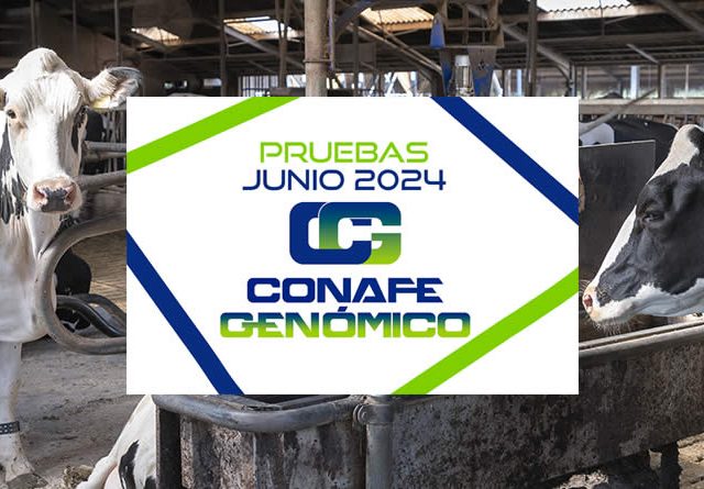 Pruebas genómicas CONAFE Junio 2024