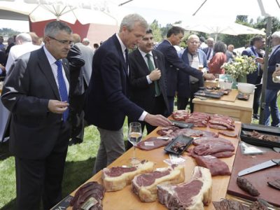 Mejorar sostenibilidad y competitividad del sector del vacuno de carne Ternera Gallega