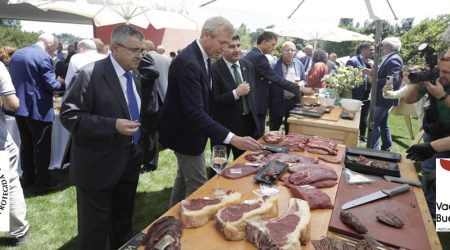 Mejorar sostenibilidad y competitividad del sector del vacuno de carne Ternera Gallega