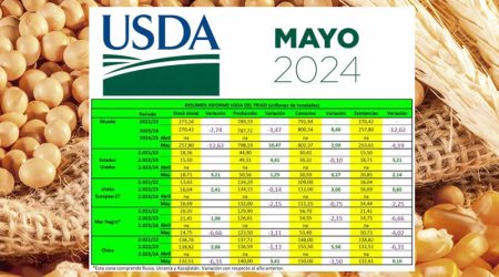 Informe USDA cereales mayo 2024