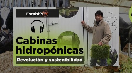 Forrajes en cabinas hidropónicas para vacuno