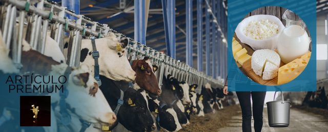 Genómica, el bienestar de los lácteos y vacas lecheras