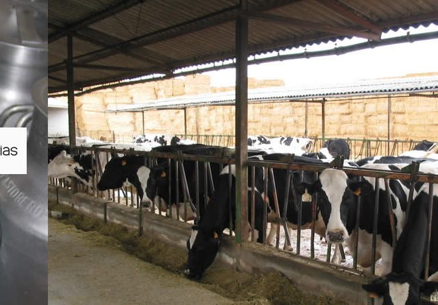 Precio leche vaca cooperativas agroalimentarias de andalucía