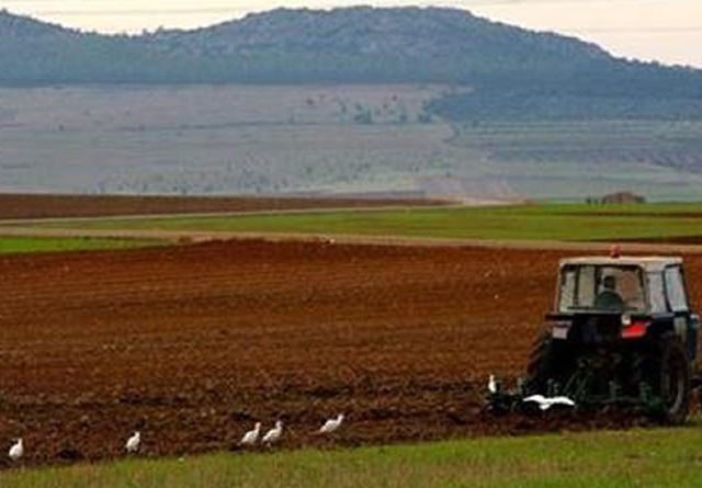 MAPA anuncia las ayudas para modernizar la maquinaria agrícola con el plan renove 2024