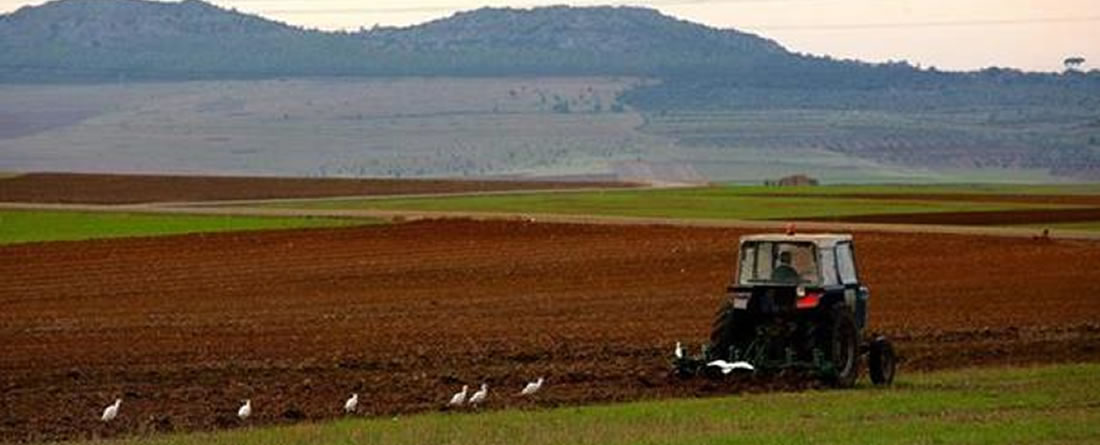 MAPA anuncia las ayudas para modernizar la maquinaria agrícola con el plan renove 2024