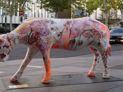 provacuno madrid cow gallery 2024