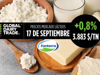 Subasta lácteos Fonterra 17 septiembre de 2024