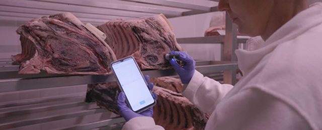 Imagen de la investigación del IRTA sobre la maduración de la carne