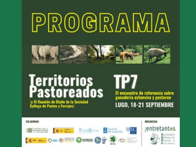 Territorios Pastoreados T7 Lugo 20 septiembre 2024
