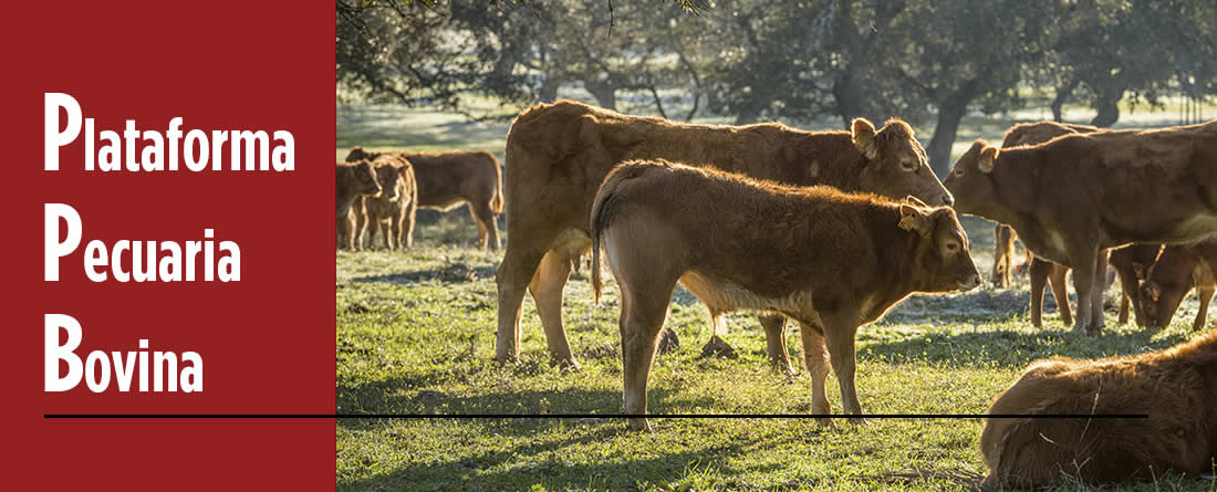 Nueva Plataforma Pecuaria Bovina