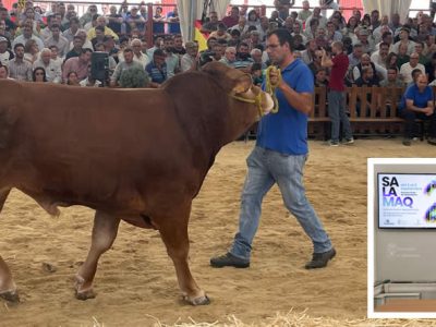 Balance de la feria Salamaq 2024